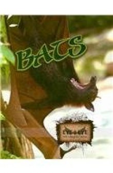 Bats  