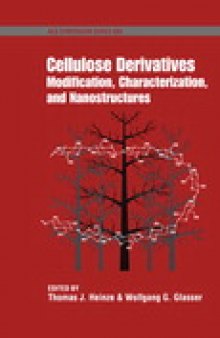 Cellulose Derivatives. Modification, Characterization, and Nanostructures