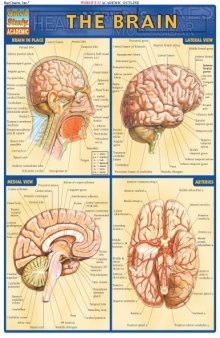 Brain reference guide