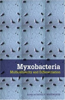 Myxobacteria: Multicellularity and Differentiation