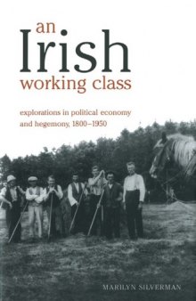 An Irish Working Class: Explorations in Political Economy and Hegemony, 1800-1950