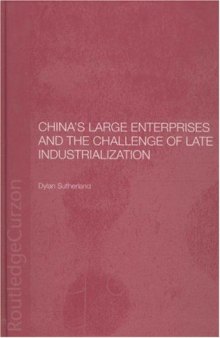 China's Large Enterprises and the Challenge of Late Industrialisation (Routledgecurzonstudies on the Chinese Economy)