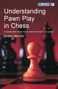 Understanding Pawn Play in Chess