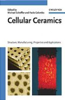 Cellular ceramics : structure, manufacturing, properties and applications