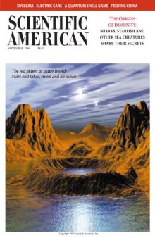 Scientific American (November 1996)