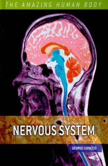 Nervous System (The Amazing Human Body)