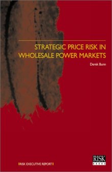 Strategic Price Risk in the Wholesale Power Markets