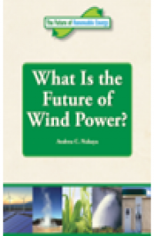 What is the Future of Wind Power?
