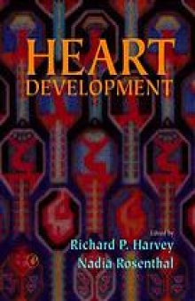 Heart development