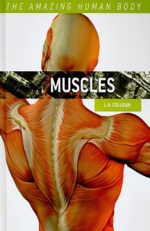 Muscles (The Amazing Human Body)