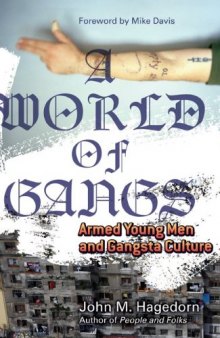 A World of Gangs: Armed Young Men and Gangsta Culture (Globalization and Community)