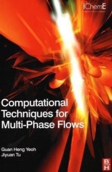 Computational Techniques for Multiphase Flows