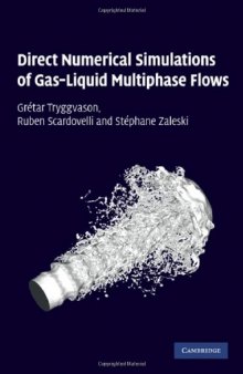 Direct Numerical Simulations of Gas-Liquid Multiphase Flows (Cambridge Monographs on Applied & Computational Mathematics)