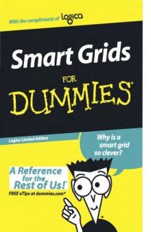 Smart grids for dummies