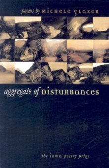 Aggregate of Disturbances (Iowa Poetry Prize)