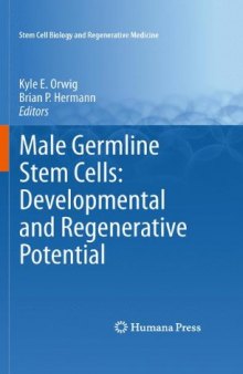 Male Germline Stem Cells: Developmental and Regenerative Potential