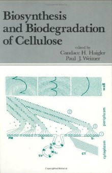 Biosynthesis and Biodegradation of Cellulose