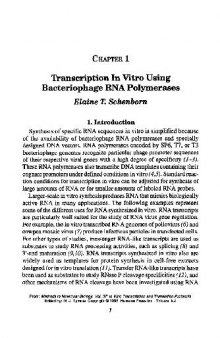 In Vitro Transcription and Translation Protocols