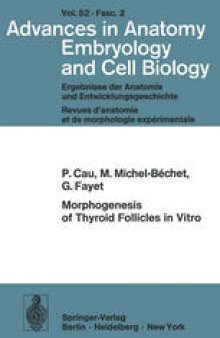 Morphogenesis of Thyroid Follicles in Vitro