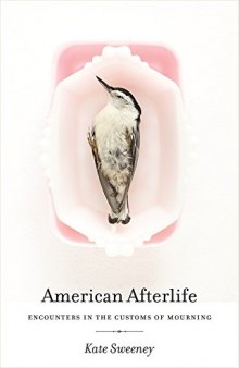 American afterlife : encounters in the customs of mourning