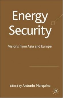 Energy Security: Visions from Asia and Europe
