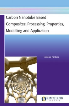 Carbon Nanotube Based Composites : Processing, Properties, Modelling and Application