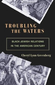 Troubling the Waters: Black-Jewish Relations in the American Century (Politics and Society in Twentieth Century America)