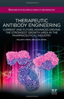 Therapeutic Antibody Engineering. Current and Future Advances Driving the Strongest Growth Area in the Pharmaceutical Industry