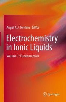 Electrochemistry in Ionic Liquids: Volume 1: Fundamentals