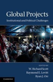 Global projects : institutional and political challenges