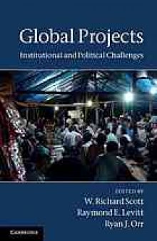 Global projects : institutional and political challenges