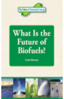What is the Future of Biofuels?