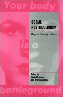 Social Postmodernism: Beyond Identity Politics (Cambridge Cultural Social Studies)