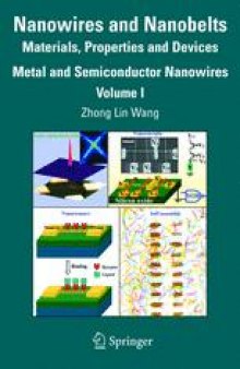 Nanowires and Nanobelts: Materials, Properties and Devices. Volume 1: Metal and Semiconductor Nanowires