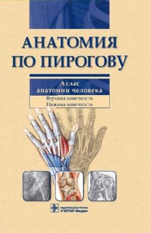 Анатомия по Пирогову. Атлас анатомии человека. В 3-х томах. Верхняя конечность. Нижняя конечность