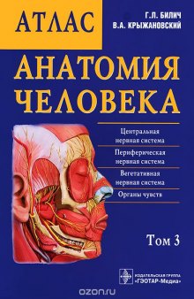Анатомия человека. Атлас. В 3 томах. Том 3