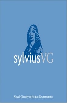 SylviusVG : visual glossary of human neuroanatomy