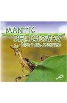 Mantis Religiosas - Praying Mantises