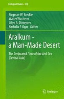 Aralkum - a Man-Made Desert: The Desiccated Floor of the Aral Sea (Central Asia)