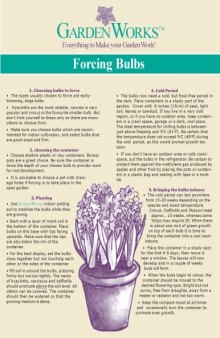 Forcing bulbs