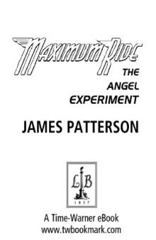 The Angel Experiment  
