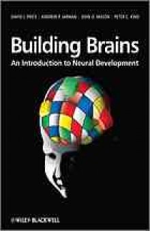 Building brains : an introduction to neural development