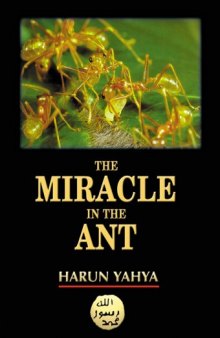Miracle in the Ant