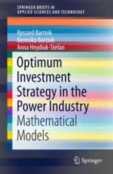 Optimum Investment Strategy in the Power Industry: Mathematical Models