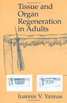 Tissue and Organ Regeneration in Adults