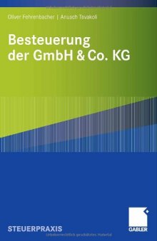 Besteuerung der GmbH & Co. KG