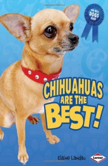 Chihuahuas Are the Best! (The Best Dogs Ever)