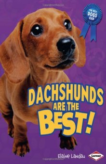 Dachshunds Are the Best! (The Best Dogs Ever)