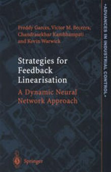 Strategies for Feedback Linearisation: A Dynamic Neural Network Approach