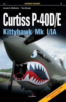 Curtis P-40D E (Photosniper)  